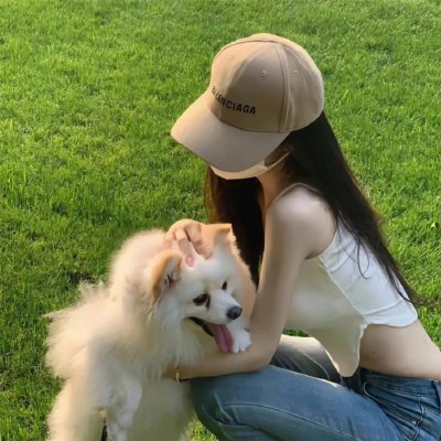 天鹅套索