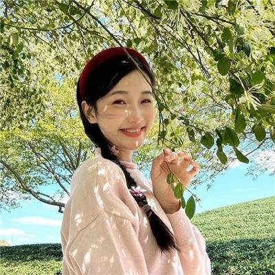 风流家族