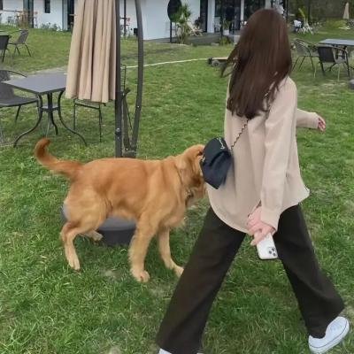 小谢尔顿第一季